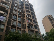 2015年电梯房小区,户型棒棒哒。