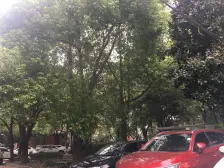 桃浦四村易居紫荆苑 2室2厅 南 北