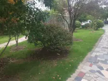 电梯房,主卧朝南,交通便利,居家装修,诚意出售,价格好谈