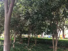 双南户型,大两房,业主诚意卖。