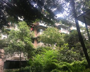 新禧苑3室1厅南北