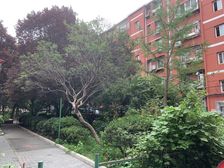 东大街东里3室1厅南北