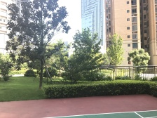 房子无非税, 可带租户出售,目前月租金两千