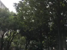 南苑新世纪大三房来了,好楼层,户型正气,机会难得!