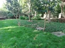 旭辉朗香郡 3室2厅 南