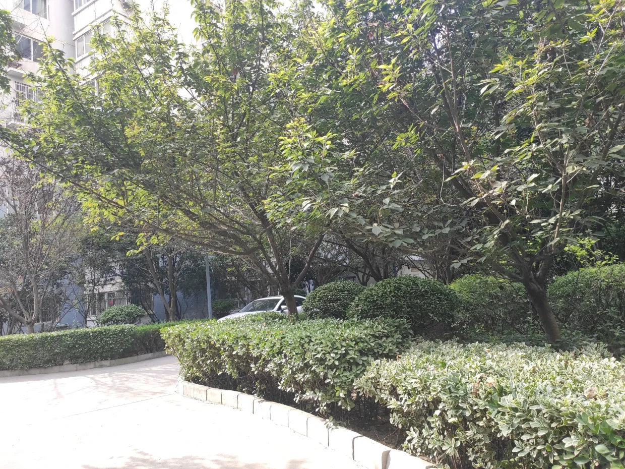 【西安通济花园小区,二手房,租房】- 西安房天下