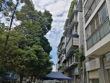 皇经花园A区3室2厅东西