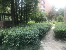 不靠马路,两层算一层面积,物业费少,房产税低。