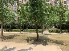 大虹桥板块14号线地铁口临洮路站,精装修大四房带车位