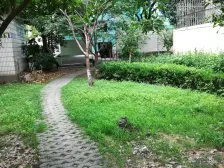 小区花园位置,采光好,一梯两户,满五年