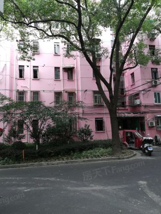 西樱花园实景图