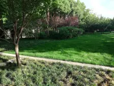 位置好,楼层好,视野佳,花园洋房,板式南北通