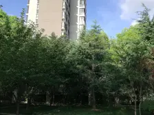 华泾高品质小区,花园式洋房带产权车位