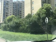 此房满五,自住简单装修,有车位可租赁,小区环境好