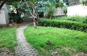 西樱花园实景图