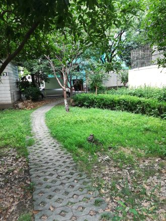 西樱花园实景图