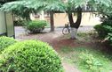 西樱花园实景图