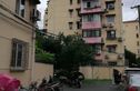西樱花园实景图