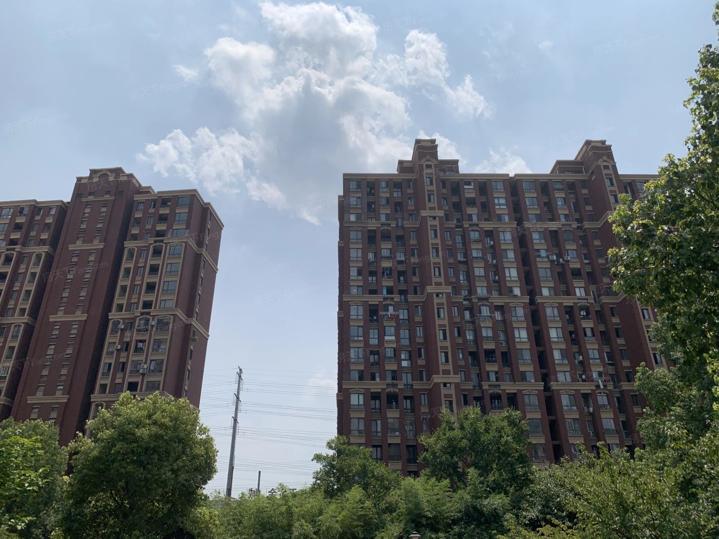 实景图