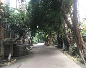 海棠名居3室2厅南