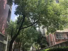 04年商品房,好楼层,双开间朝南好房