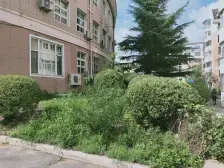 近小区北门,位置不错,通厅通透,楼层好,视野不错。