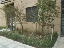 亿博青春汇 1室1厅 北