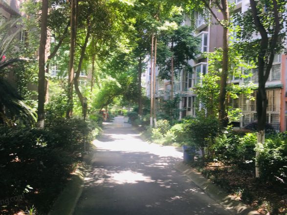 锦绣西苑实景图