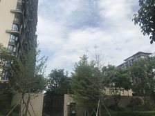 蓝光雍锦园5室2厅南