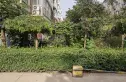 水木青城实景图
