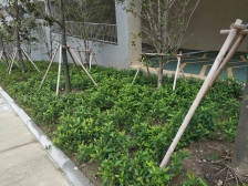 亿博青春汇1室 次新小区 轨道交通4、6号苏锦站 万达广场旁