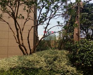 德信大悦湾 三房 采光好 户型方正 房东诚心出售