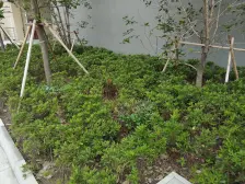 小户型 低总价精装修现房近地铁