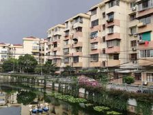 罗秀二村1室1厅南