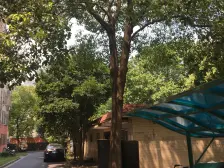 七宝 · 金泰公寓 · 2室 · 2厅