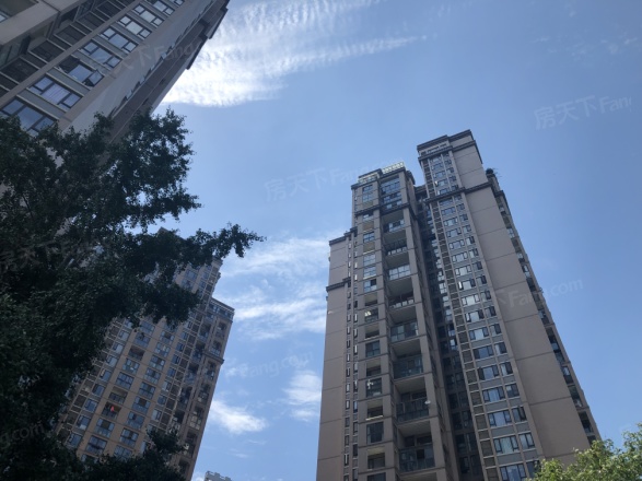 礼顿山1号实景图