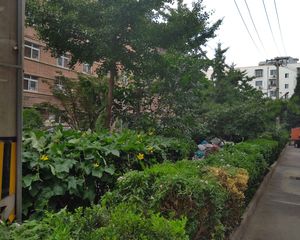 地铁角门 角门13号院2000年 电梯两居室 急售 捡漏房