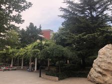 垡头北里2室1厅南北