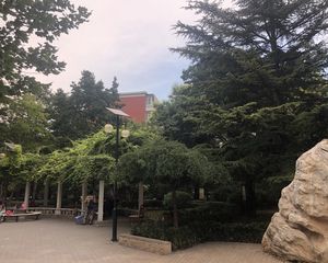 垡头北里2室1厅南北