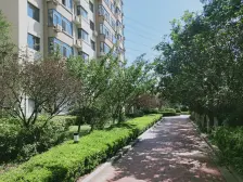 近软件园 不是一楼 户型好 一室一厅 出租中看房提前说