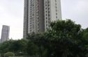 华沁家园实景图