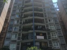 双碑 雅仕居三房91.6万