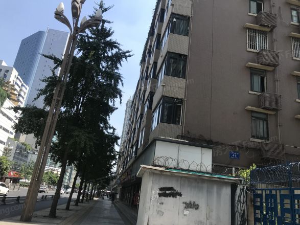 山水琨玉实景图