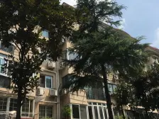 七宝·金泰公寓·4室·2厅