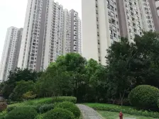 南北通透电梯房两房景观视野好 可看江景 配套齐全好房子不等人