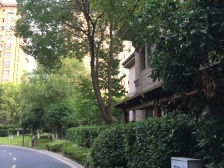 带50平阁楼,视野开阔,随时可以看房