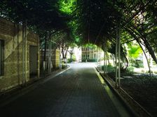 泰基花语廊3室2厅东南