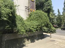 太升大厦4室2厅东