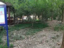 徐汇区长桥长桥四村2室1厅