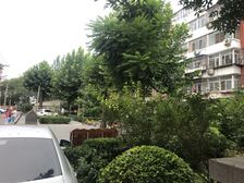 垡头北里2室1厅北南